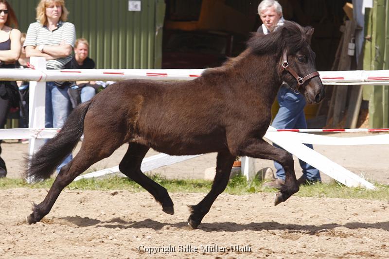 Alvar fra Stora Hofi (4).JPG